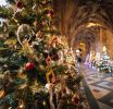 BBC to Shine a Spotlight on Worcester Cathedral’s Christmas Tree Festival 2026